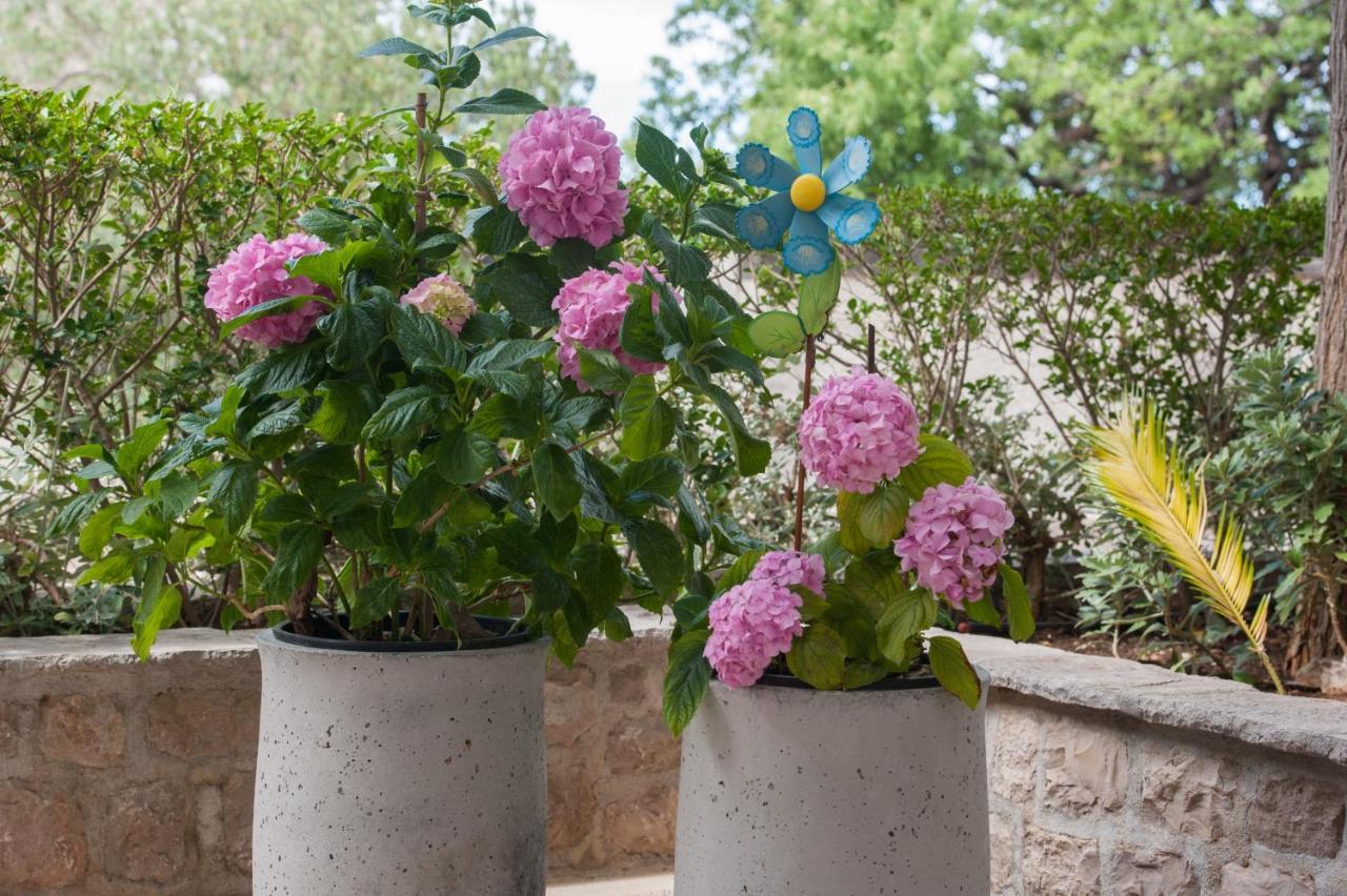 בול Villa Franka With Swimming Pool מראה חיצוני תמונה